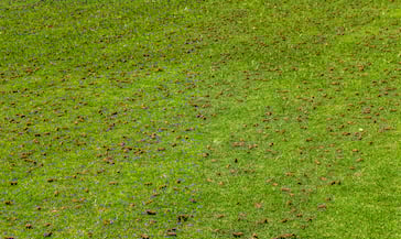 Lawn Aeration