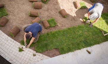 Sodding