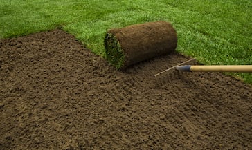 Sodding