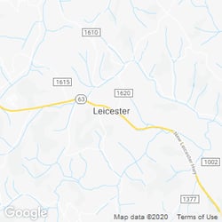 LawnStarter service area around  Leicester NC 